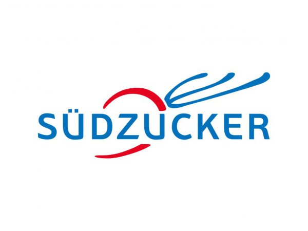 Future strategies and CSRD report