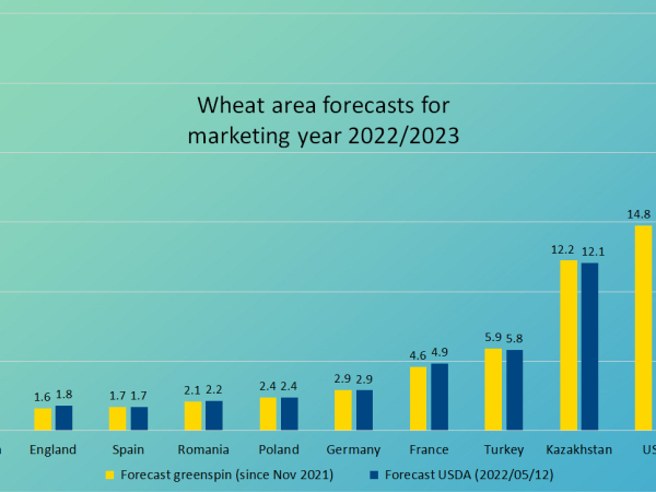Wheat area forecasts