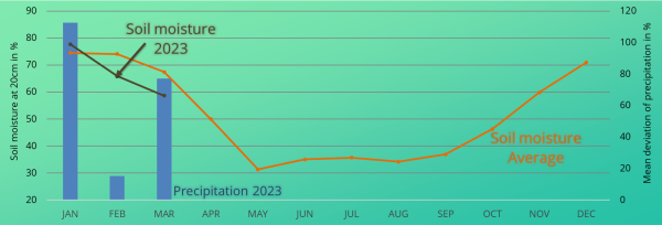 usa-wheat-forecast